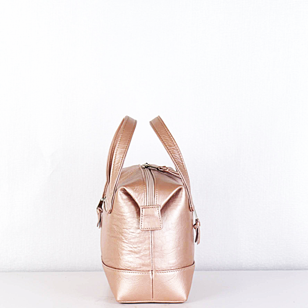 Evita Vanity Leather Bag